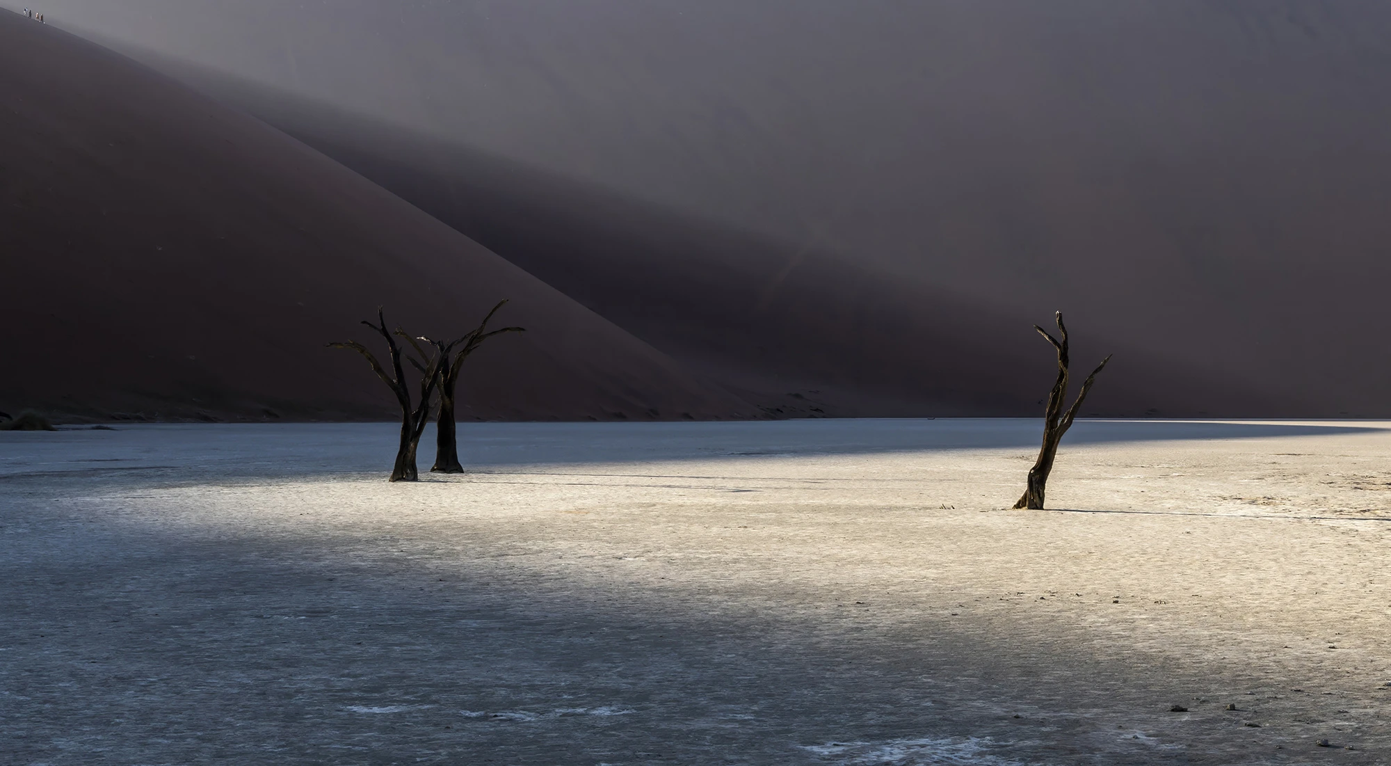 Special moment, Namibia – photo by Reiner Boehme