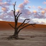 Entering Dead Vlei