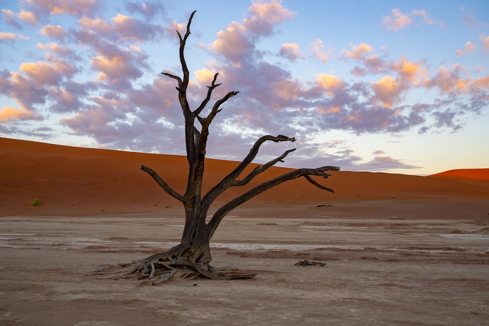 Entering Dead Vlei, Namibia – photo by Reiner Boehme