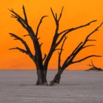 The right moment at sunrise