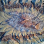 Jellyfish centre