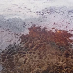 Salt pan on lake Magadi