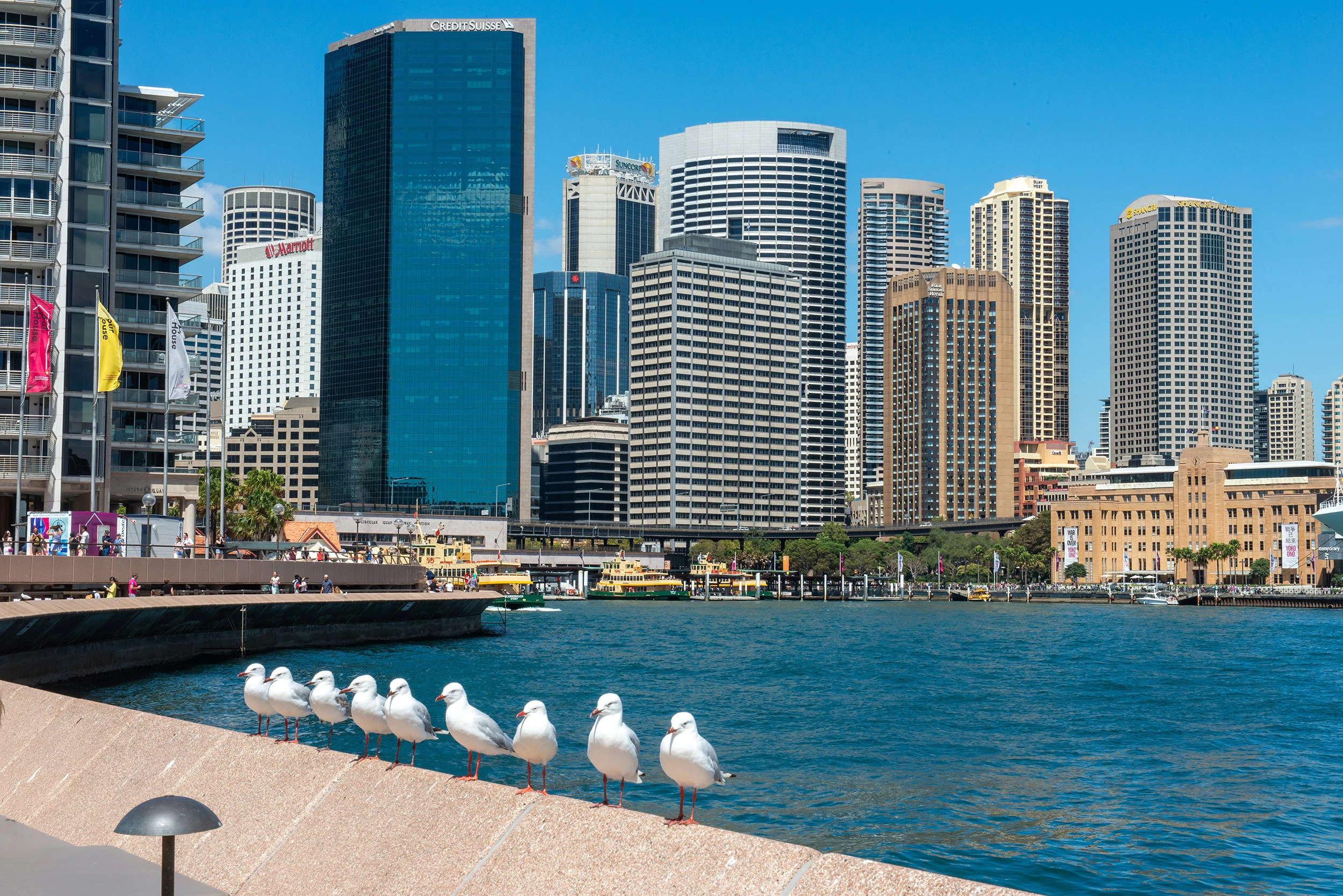 Harbor view, Sydney – photo by Reiner Boehme