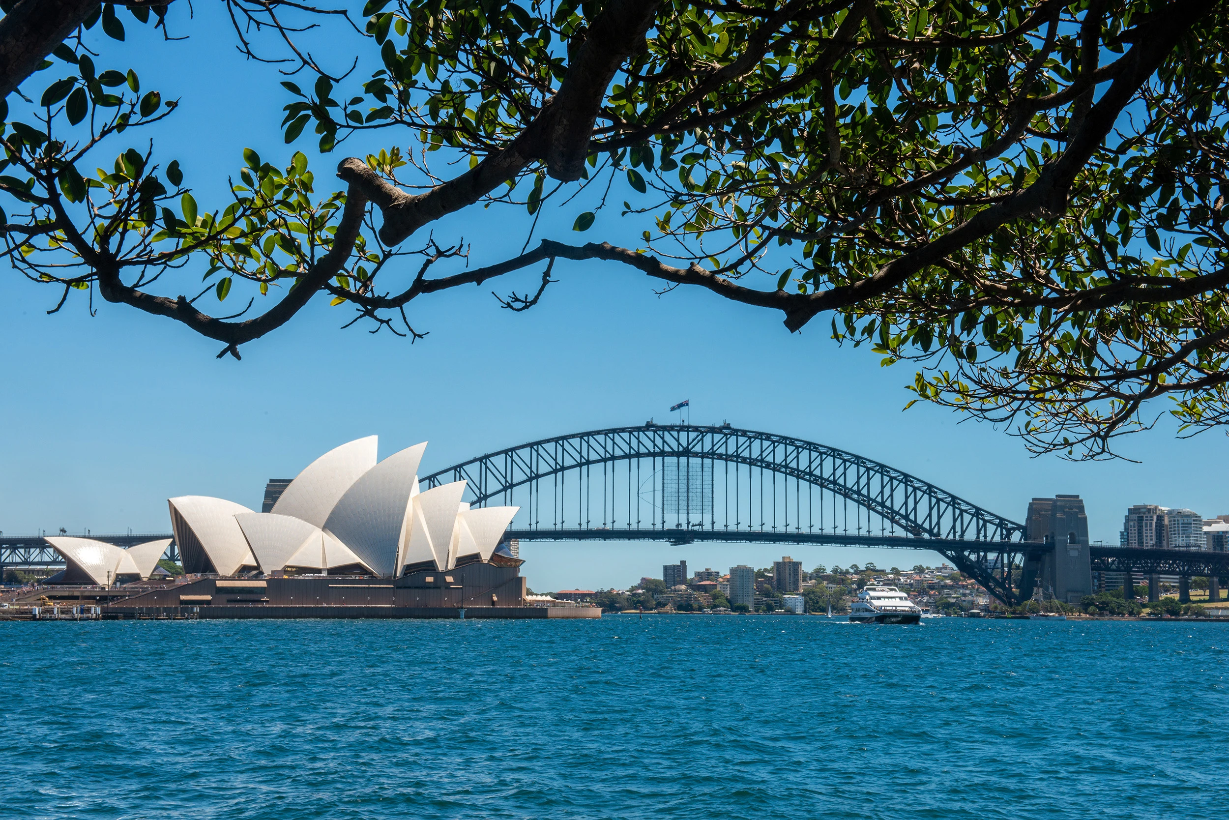 Harbor bridge, Sydney – photo by Reiner Boehme