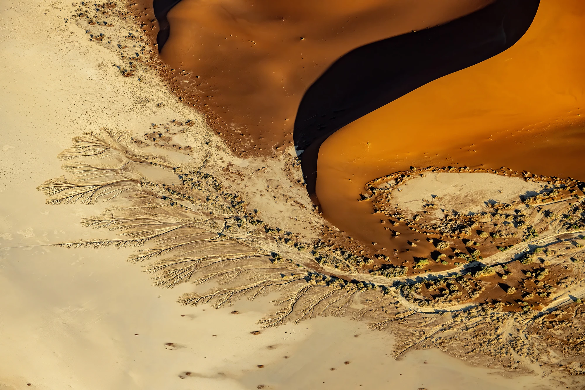 Another version, Namibia – photo by Reiner Boehme