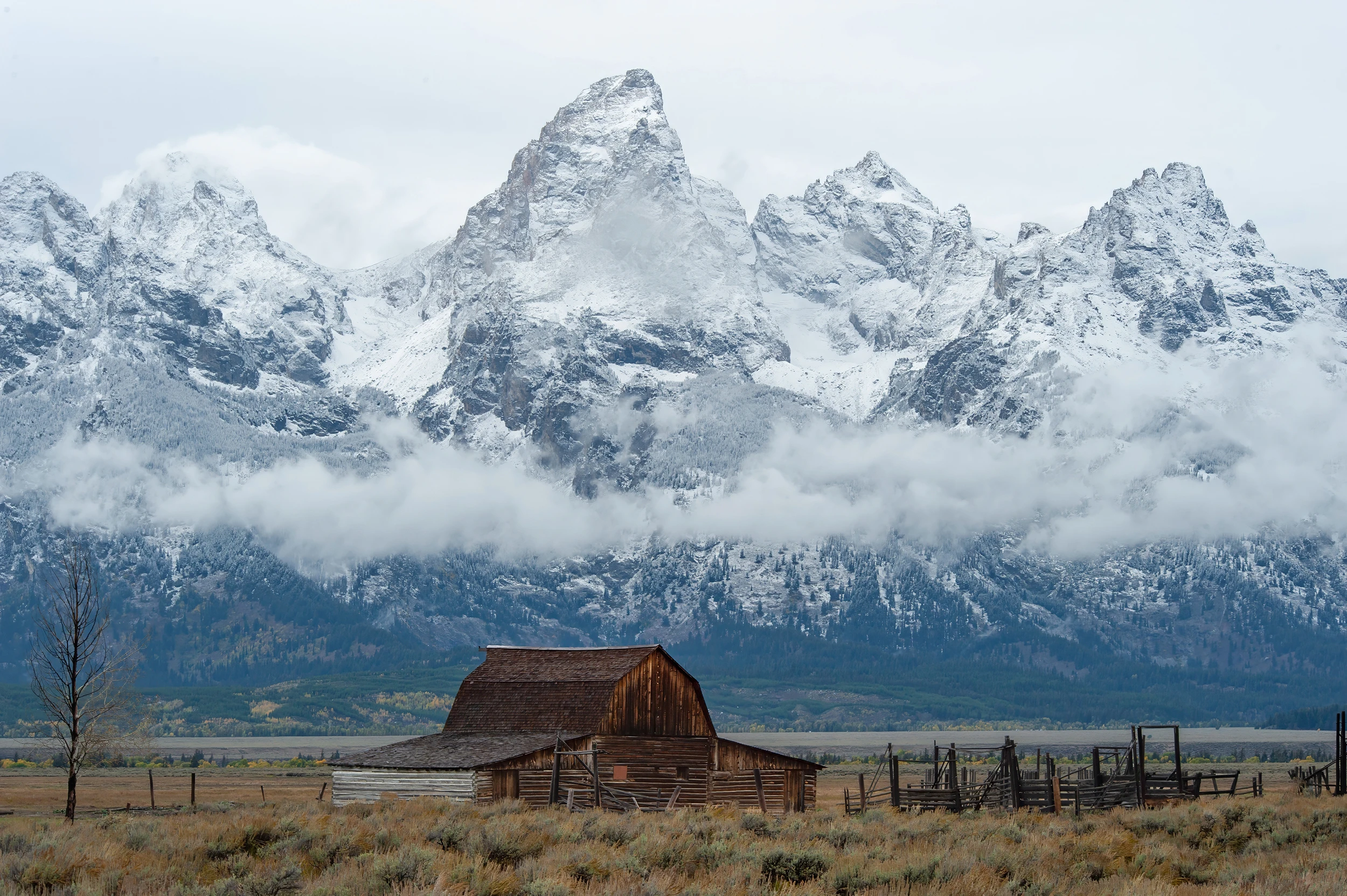After the snowstorm, Grand Teton – photo by Reiner Boehme