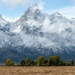 Snow in autumn