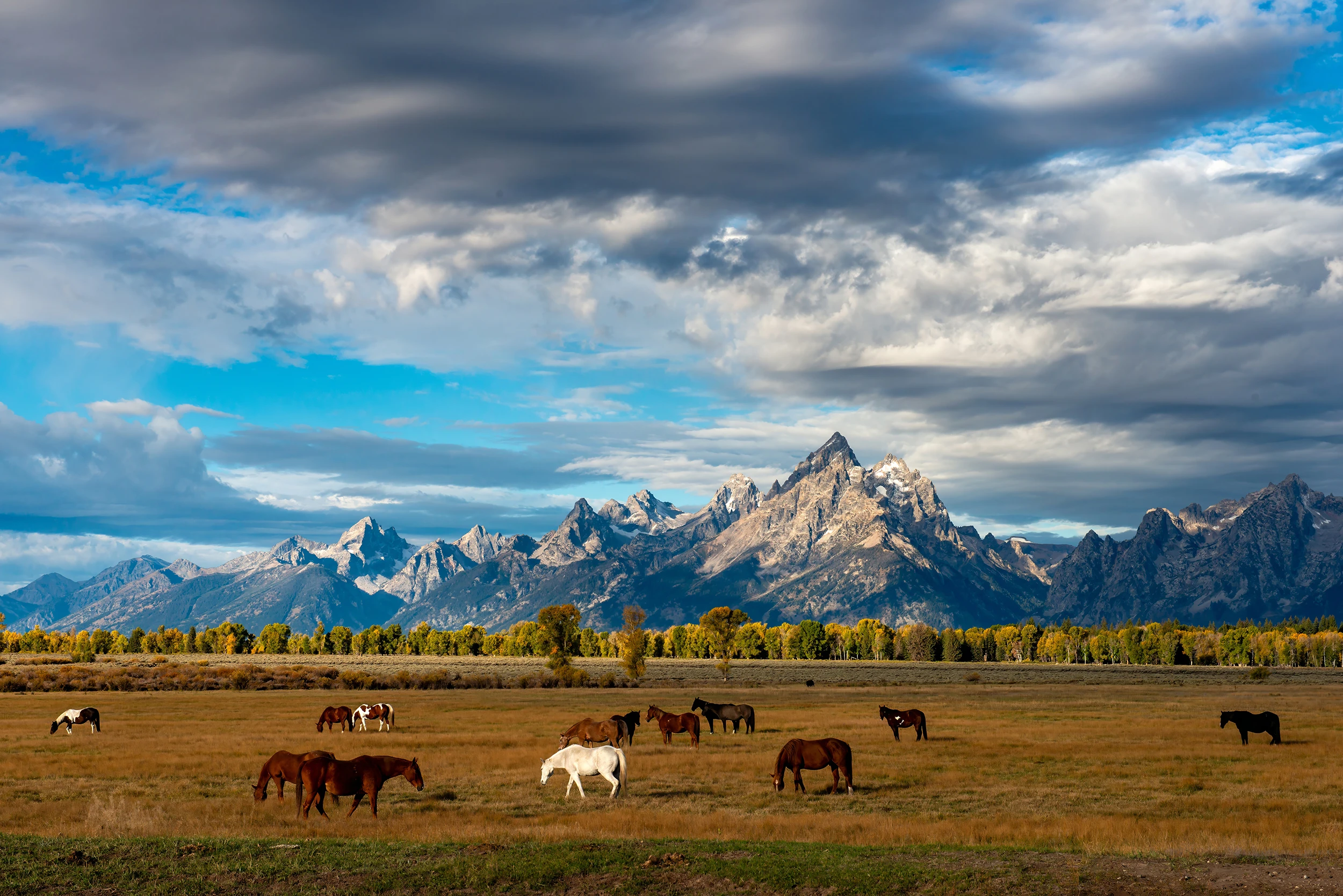 Grand Teton view – photo by Reiner Boehme