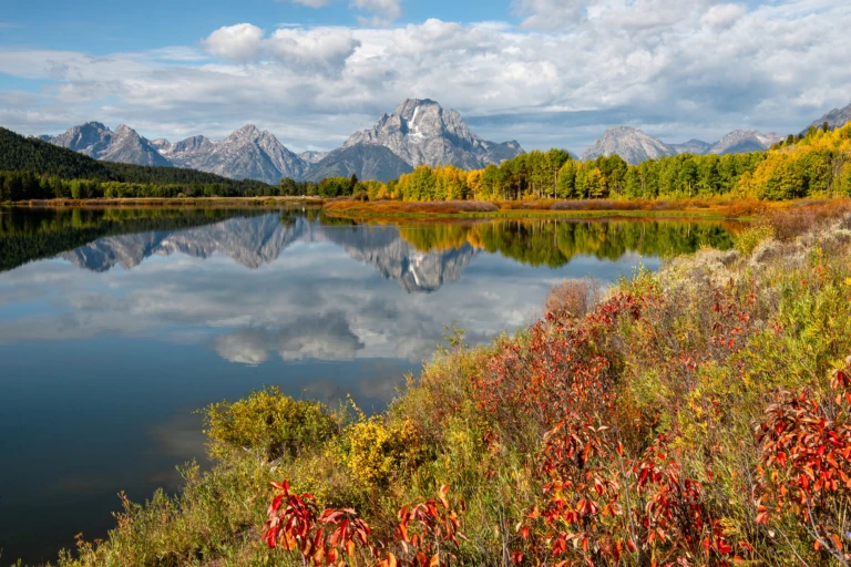 Oxbow bend I