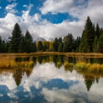 Schwabacher’s Landing