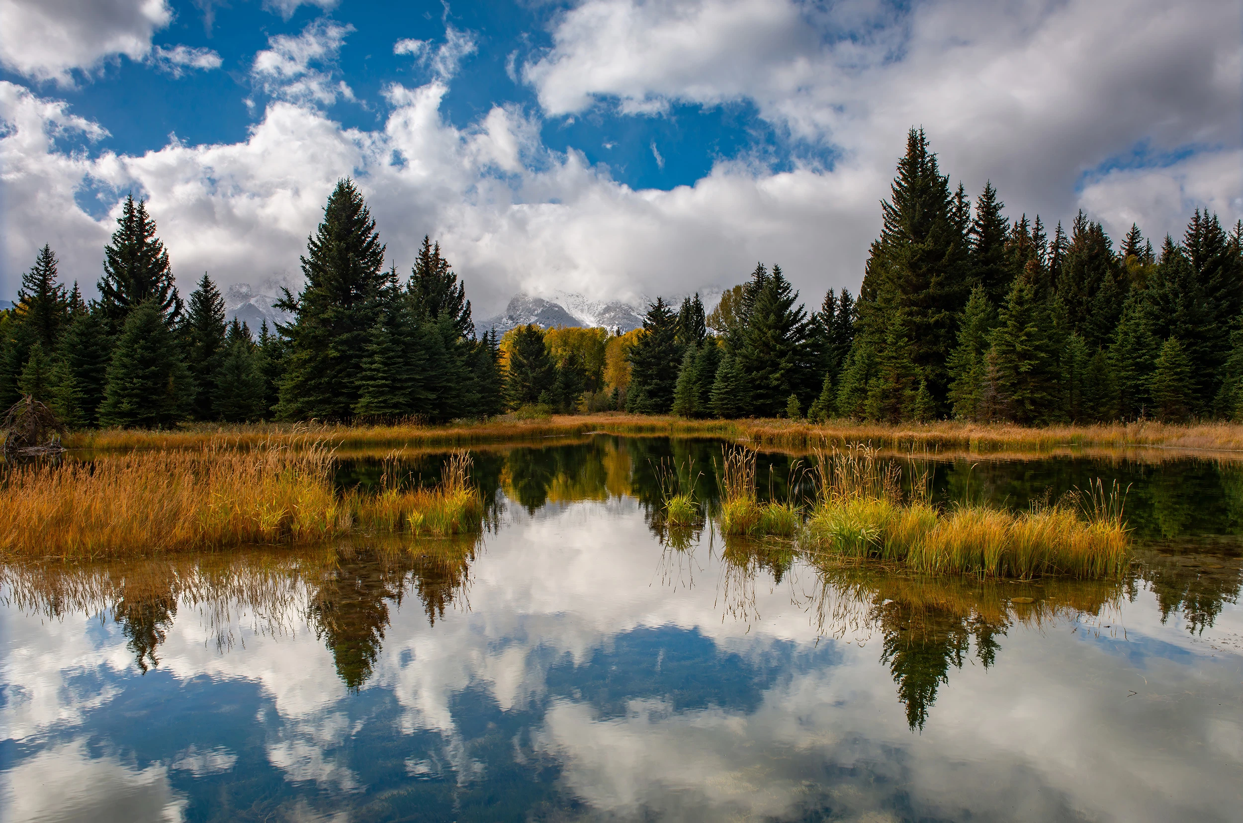 Schwabacher’s Landing, Grand Teton – photo by Reiner Boehme