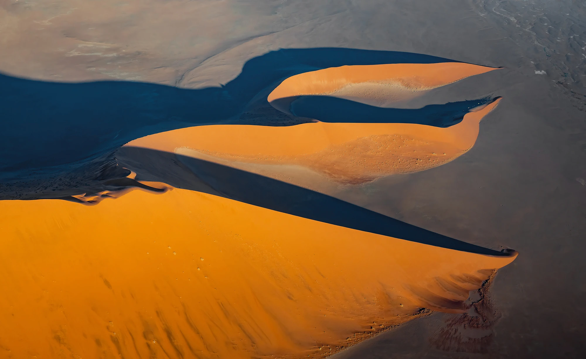 In the evening light, Namibia – photo by Reiner Boehme