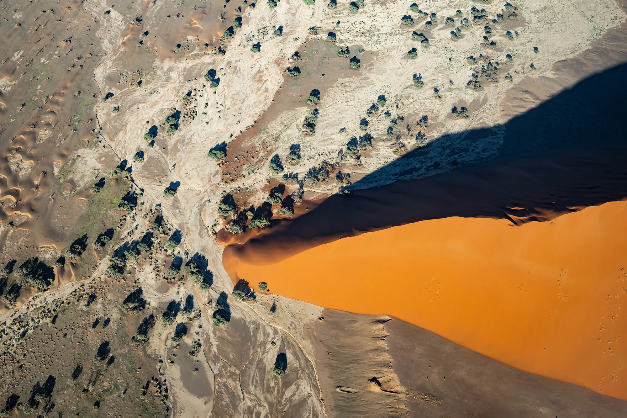 Dune entering flat land, Namibia – photo by Reiner Boehme