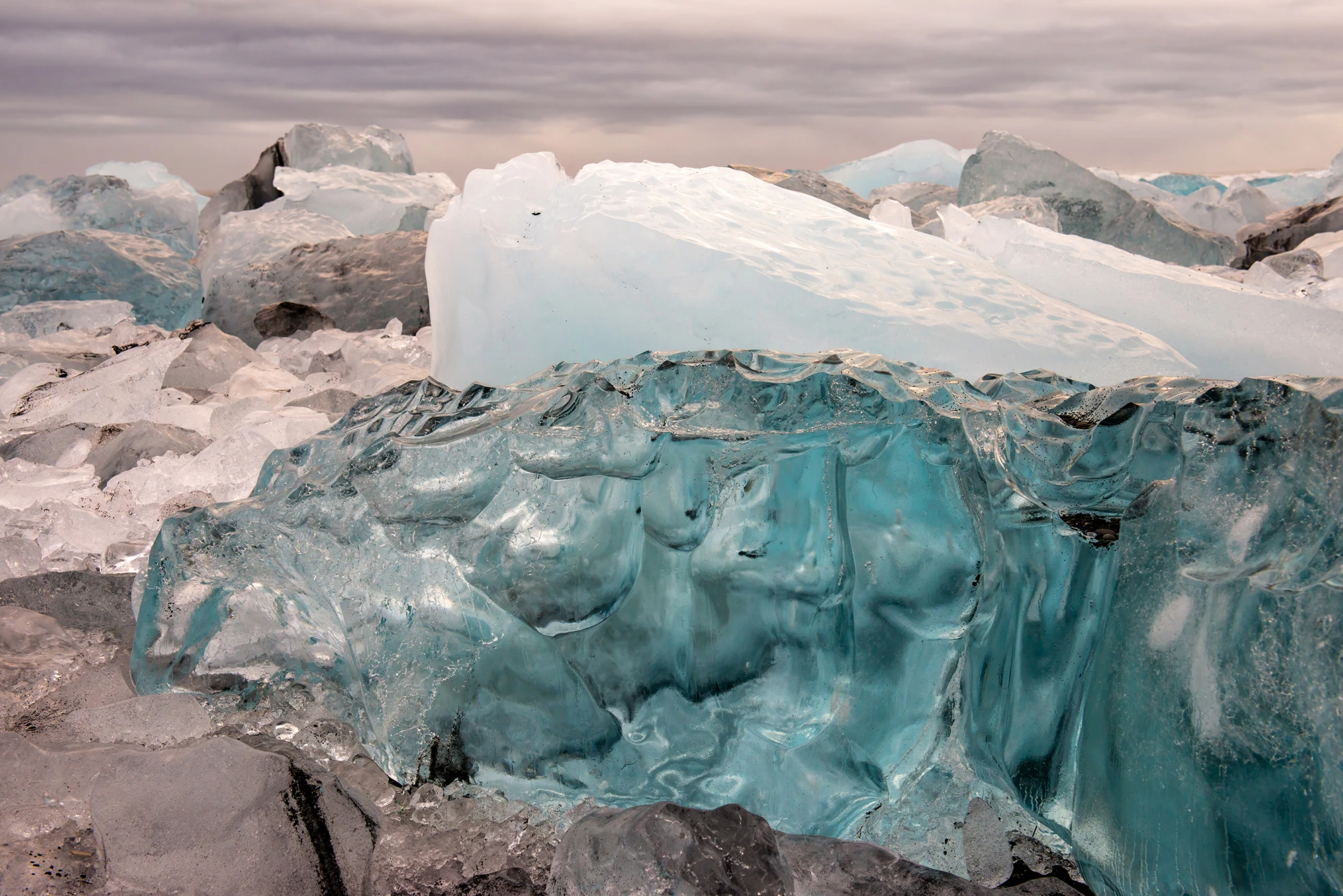 Contrasts, Iceland – photo by Reiner Boehme