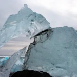 Icy creature