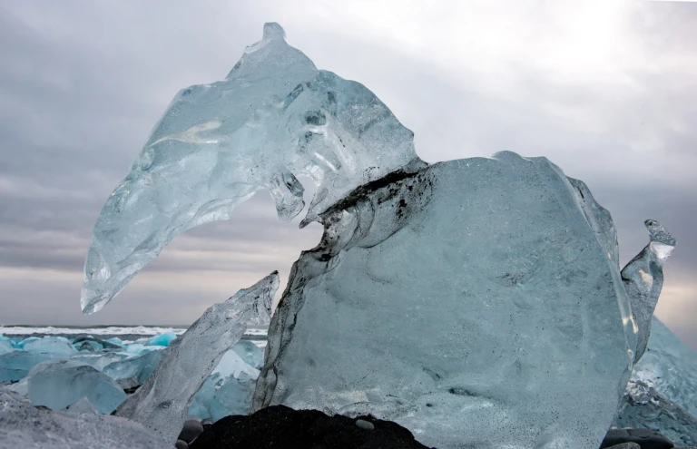 Icy creature
