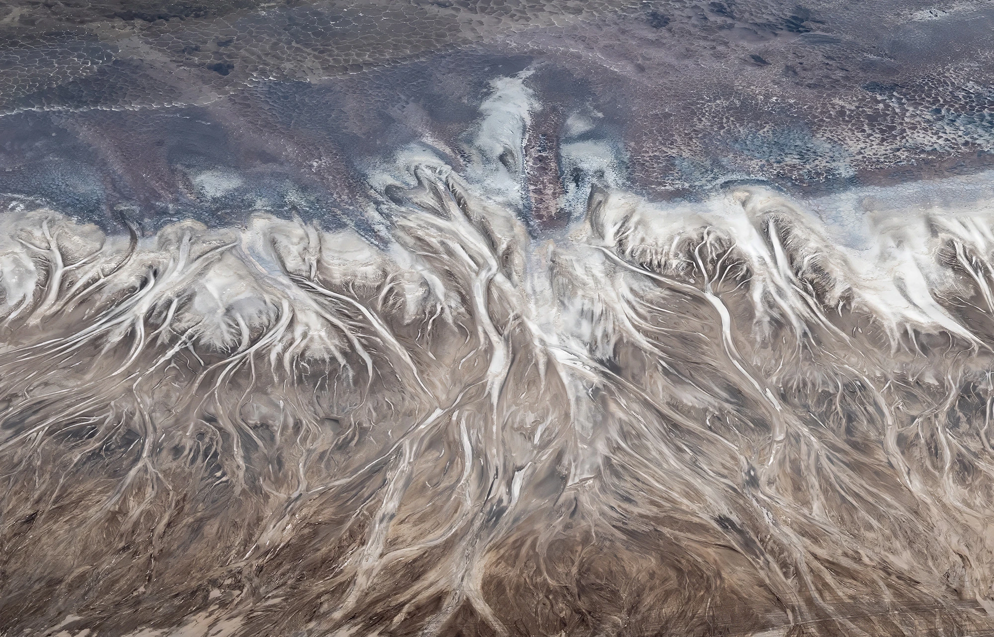Detail, Kenia-Tansania – photo by Reiner Boehme