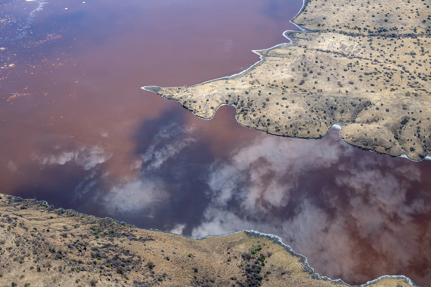 Flying along the coast, Kenia-Tansania – photo by Reiner Boehme