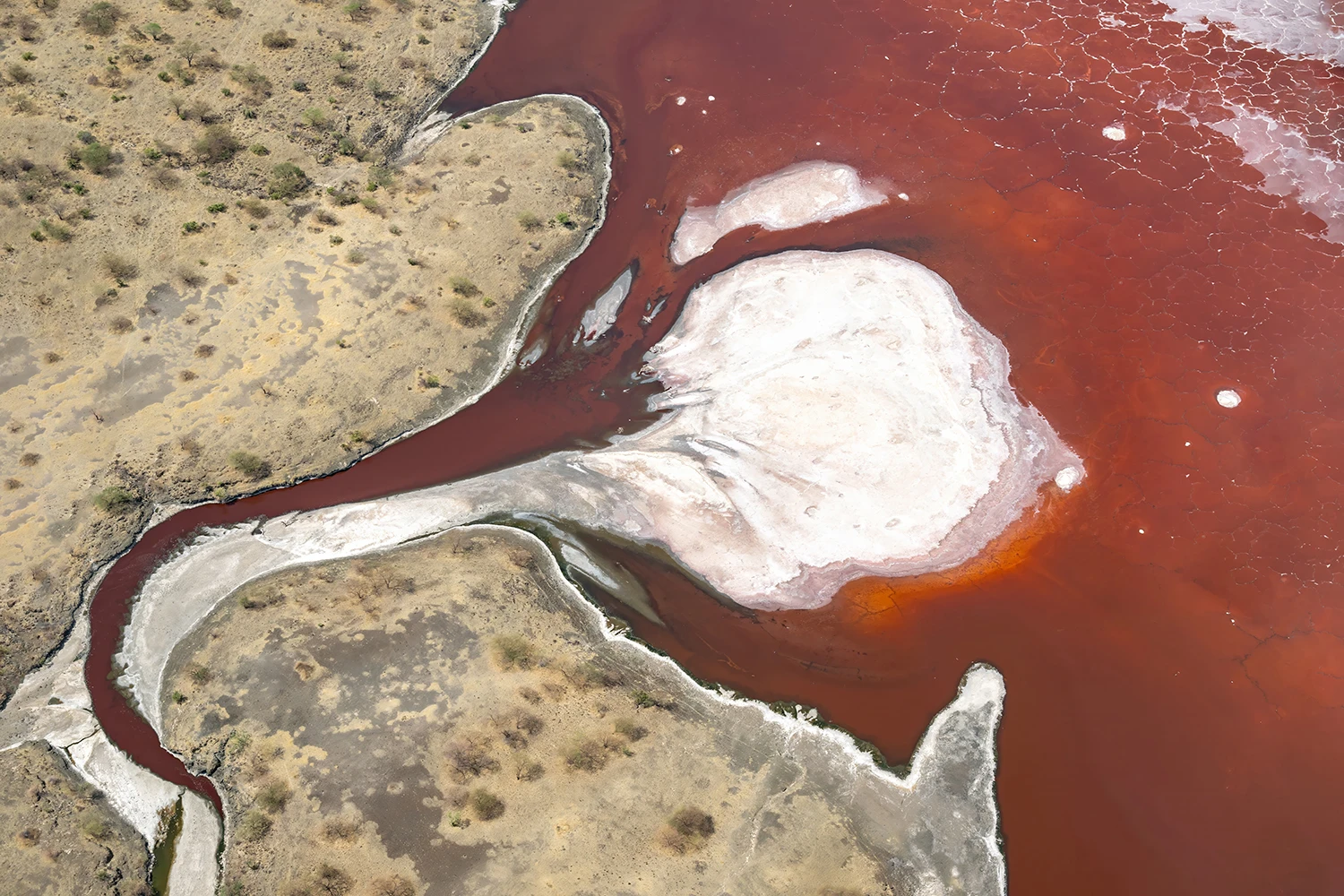 Opposite view, Kenia-Tansania – photo by Reiner Boehme