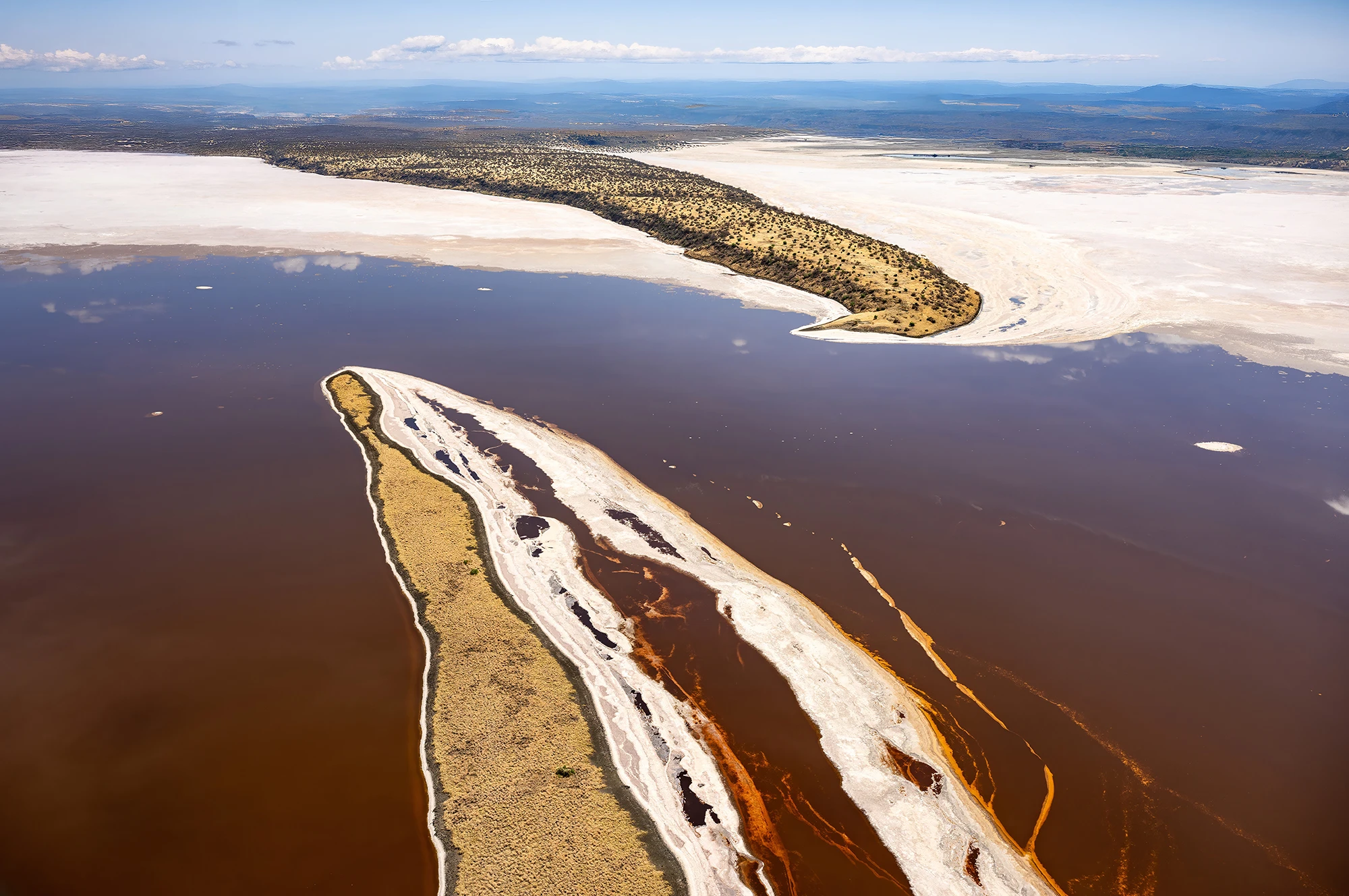 Meeting on lake Magadi, Kenia-Tansania – photo by Reiner Boehme
