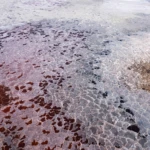 Colorful salt pan