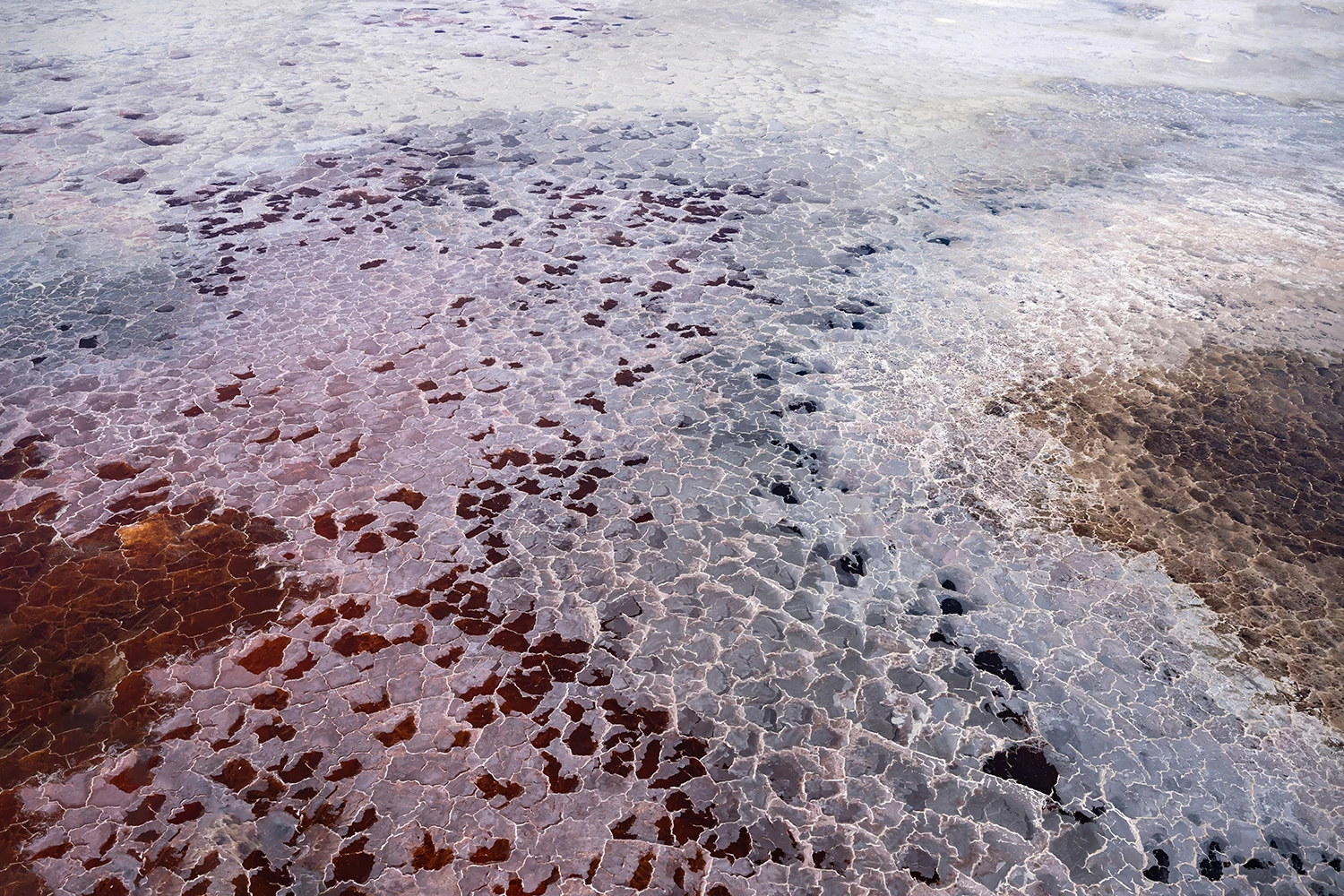 Colorful salt pan, Kenia-Tansania – photo by Reiner Boehme