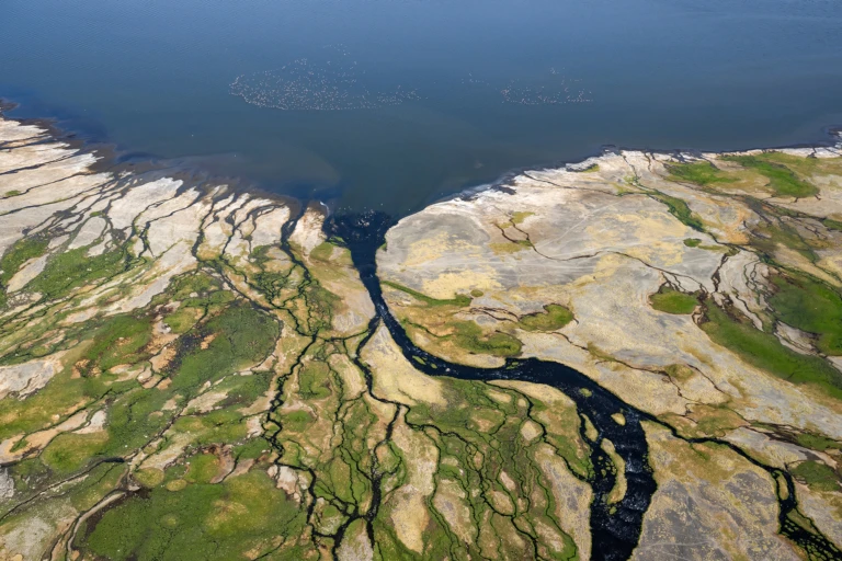 Green river