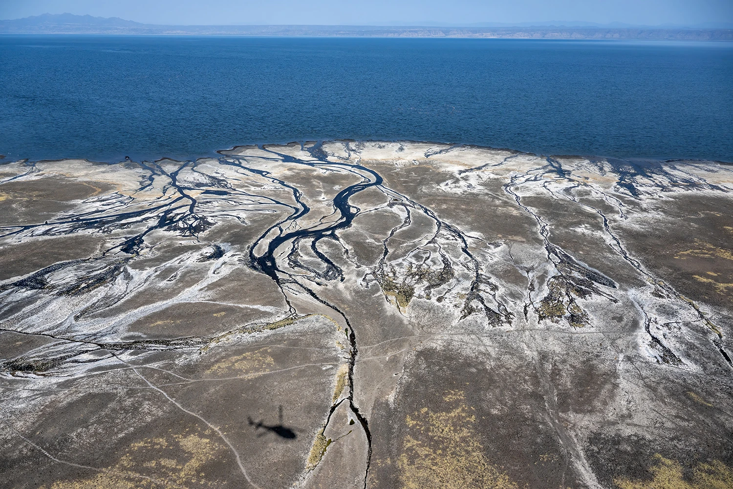 Lake Natron completely blue, Kenia-Tansania – photo by Reiner Boehme