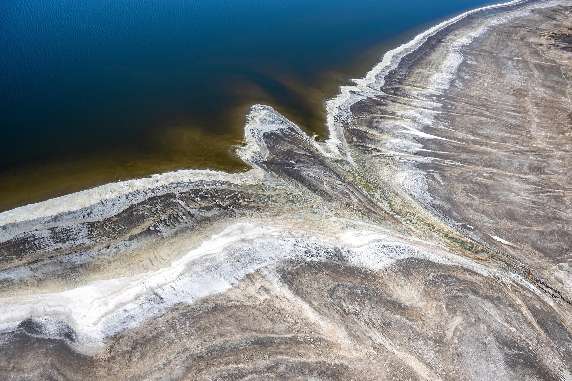 Wings, Kenia-Tansania – photo by Reiner Boehme