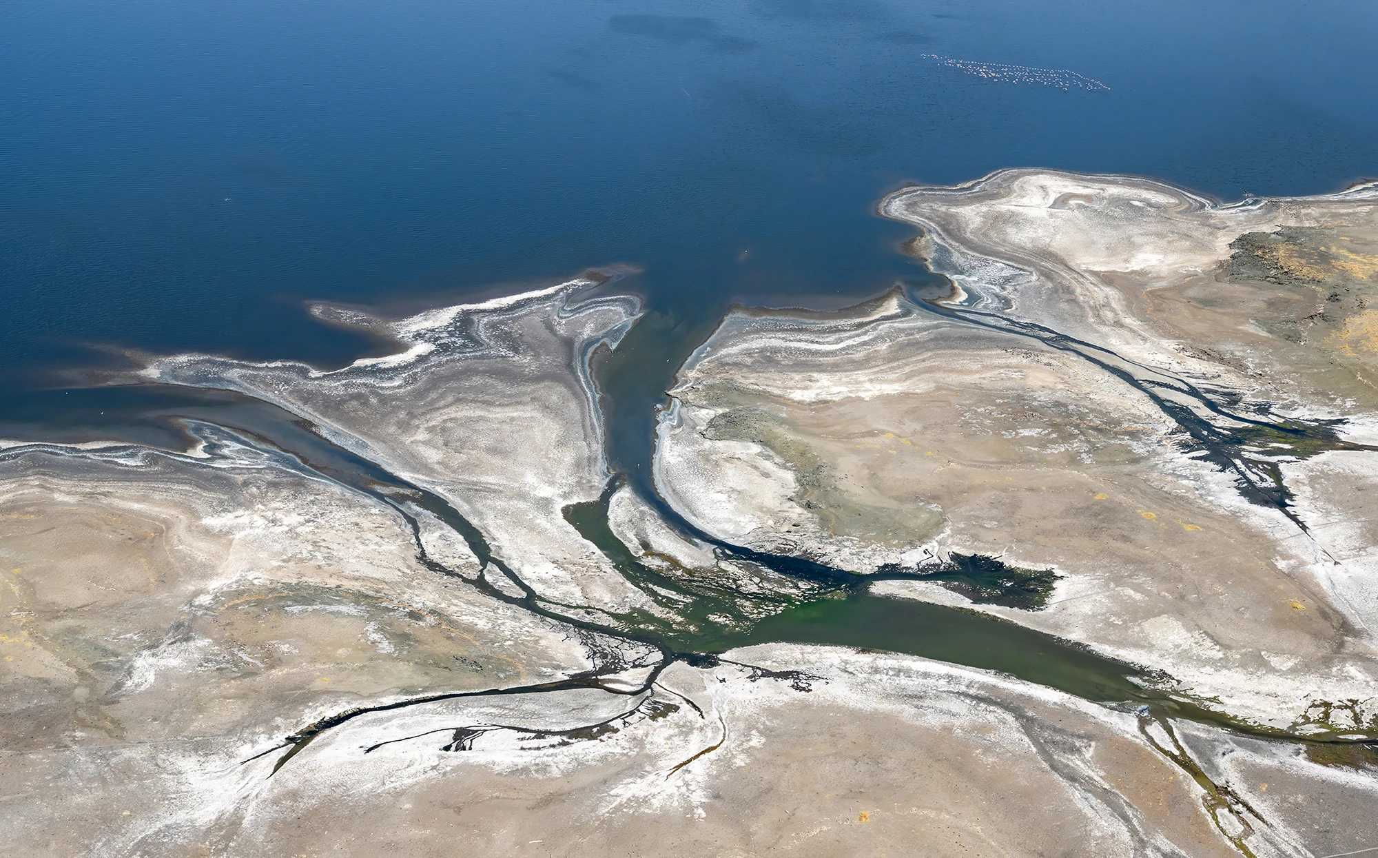 River, Kenia-Tansania – photo by Reiner Boehme