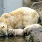 München Zoo