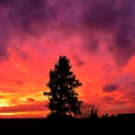 An incredible sunset