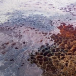 Salt structures