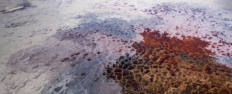 Salt structures