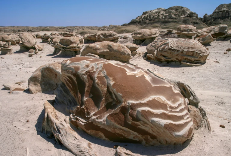 Bisti