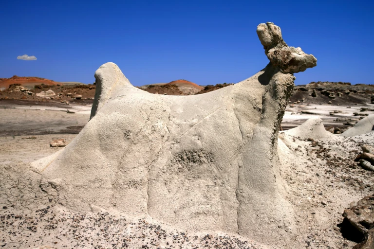 Bisti