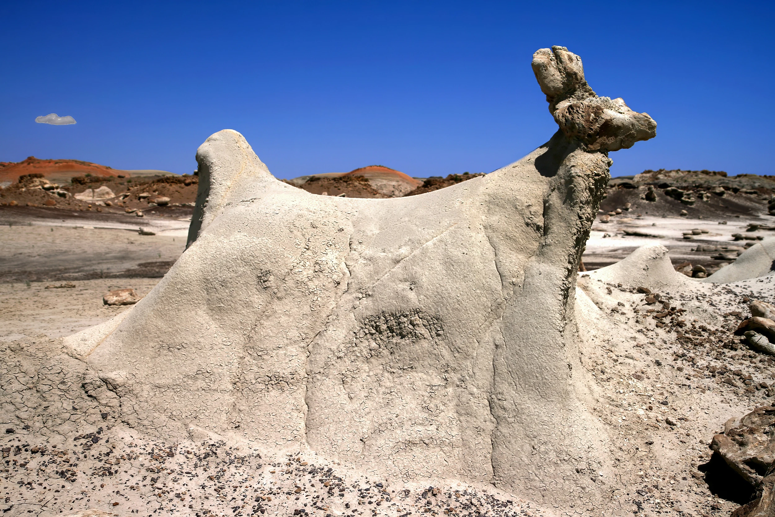 Bisti, Bisti Badlands – photo by Reiner Boehme