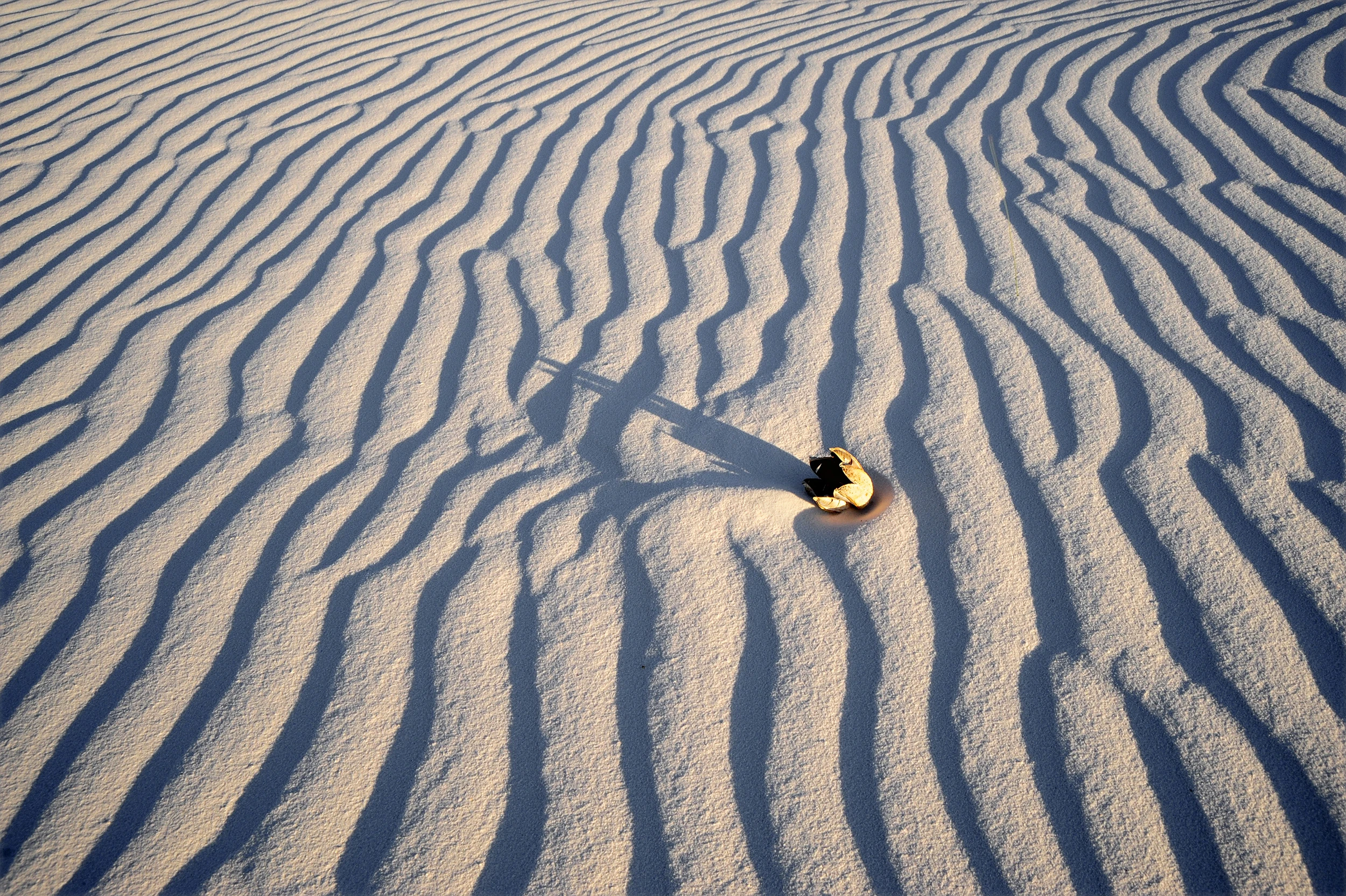 The sun creates shadows, White Sands – photo by Reiner Boehme