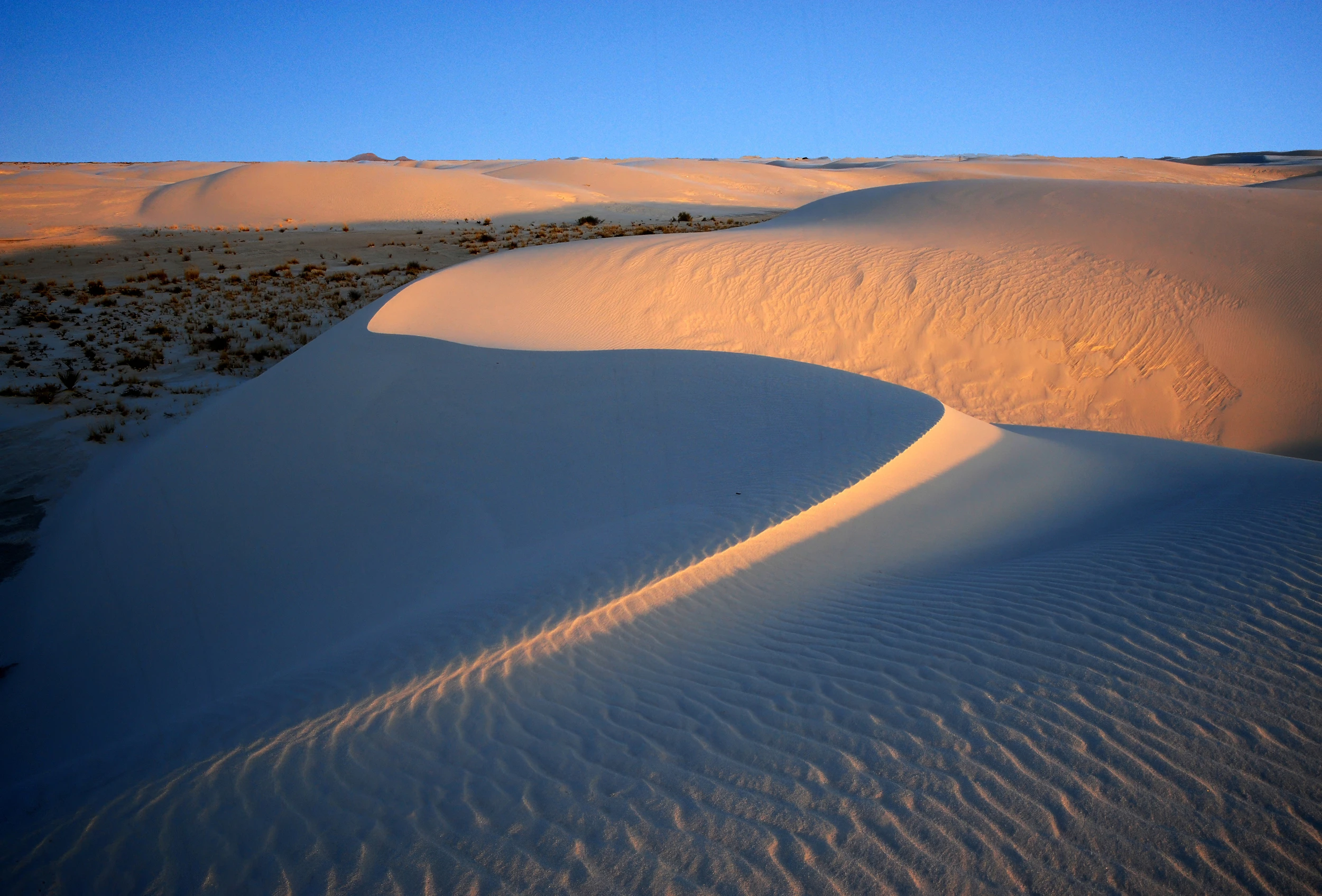 X, White Sands – photo by Reiner Boehme