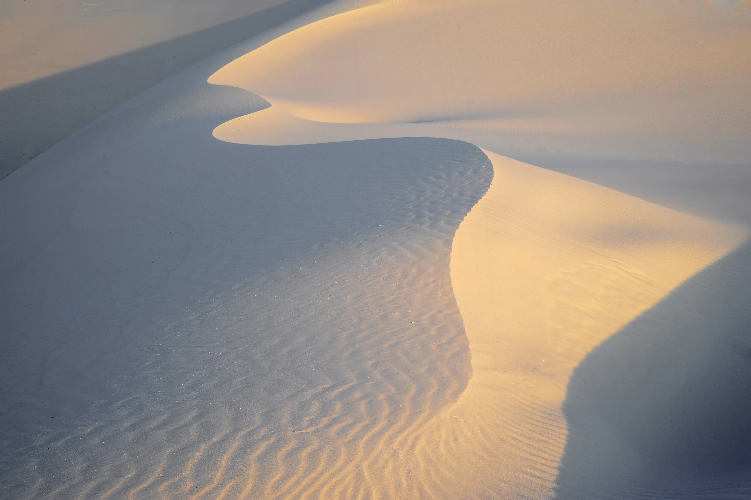 VII, White Sands – photo by Reiner Boehme