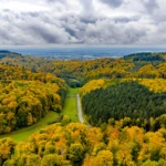 Road from Seeheim to OberBeerbach