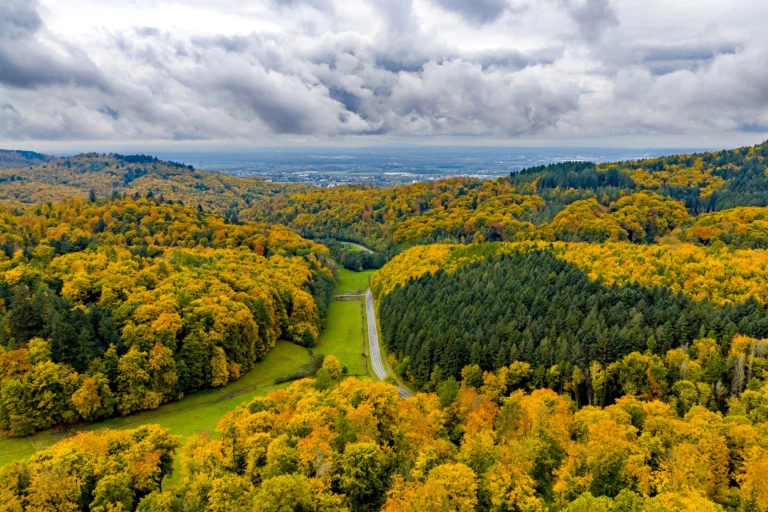 Road from Seeheim to OberBeerbach