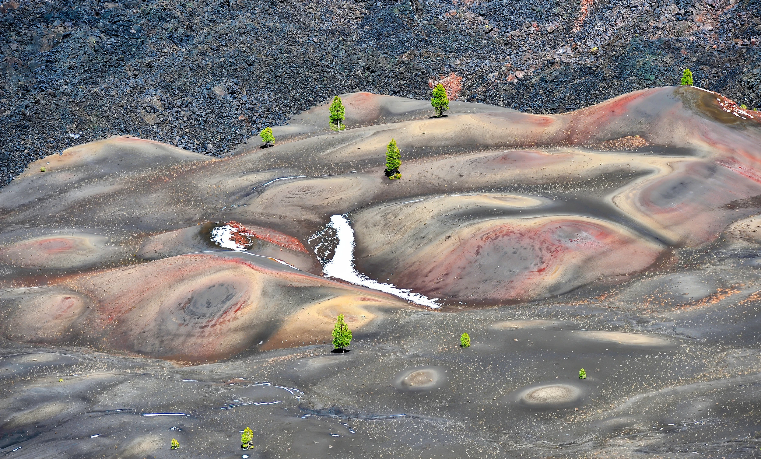 Detail, Lassen NP – photo by Reiner Boehme