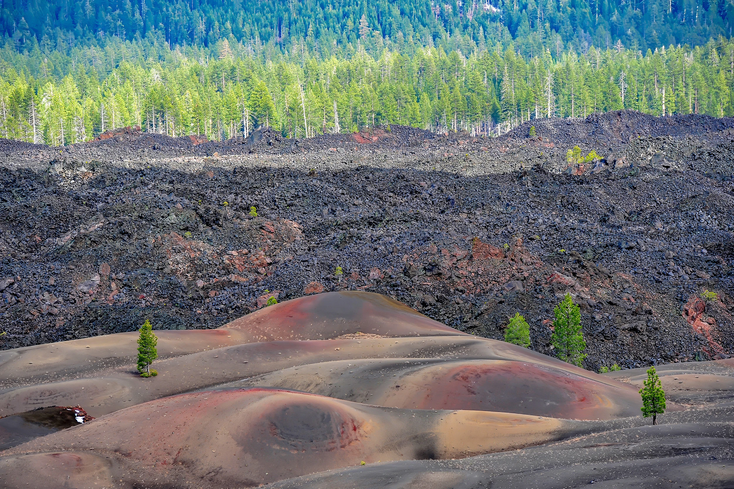 Nature returns, Lassen NP – photo by Reiner Boehme