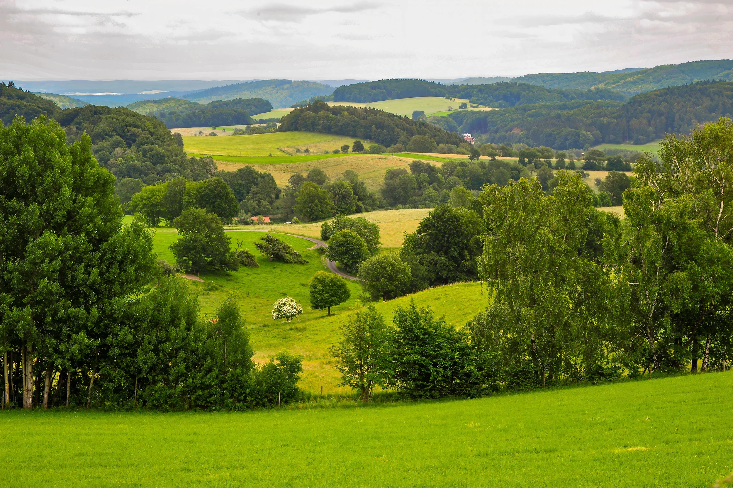 The lovely Odenwald – photo by Reiner Boehme
