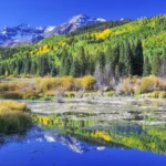 Early in autumn on CR7