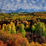 Dallas Divide