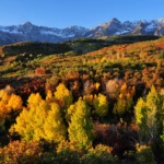 Dallas Divide