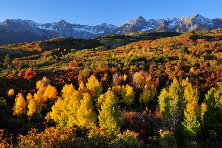 Dallas Divide