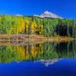 Reflections